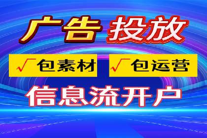 行业领先SEM托管代运营案例