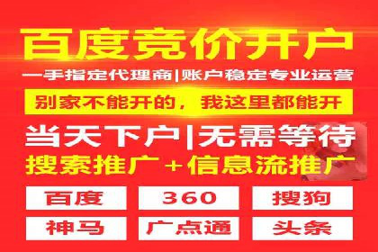 行业领先企业的SEM运营推广实战